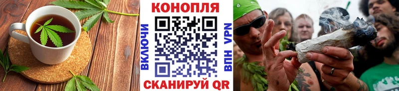 Купить  Сатка  Cannafood конопля 