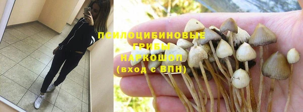 спайс Аркадак