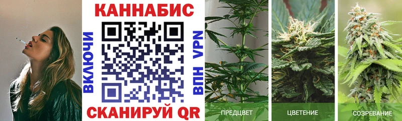 Канабис планчик  Купить  Сатка 
